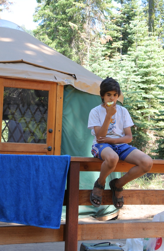 Sequoia National Forest